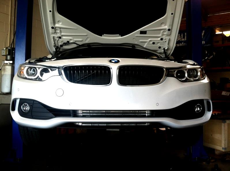 Evolution Racewerks BMW F2X/F3X 2012-15 125i/228i/320i/328i/428i N20/N26 Competition Series Front Mount Intercooler